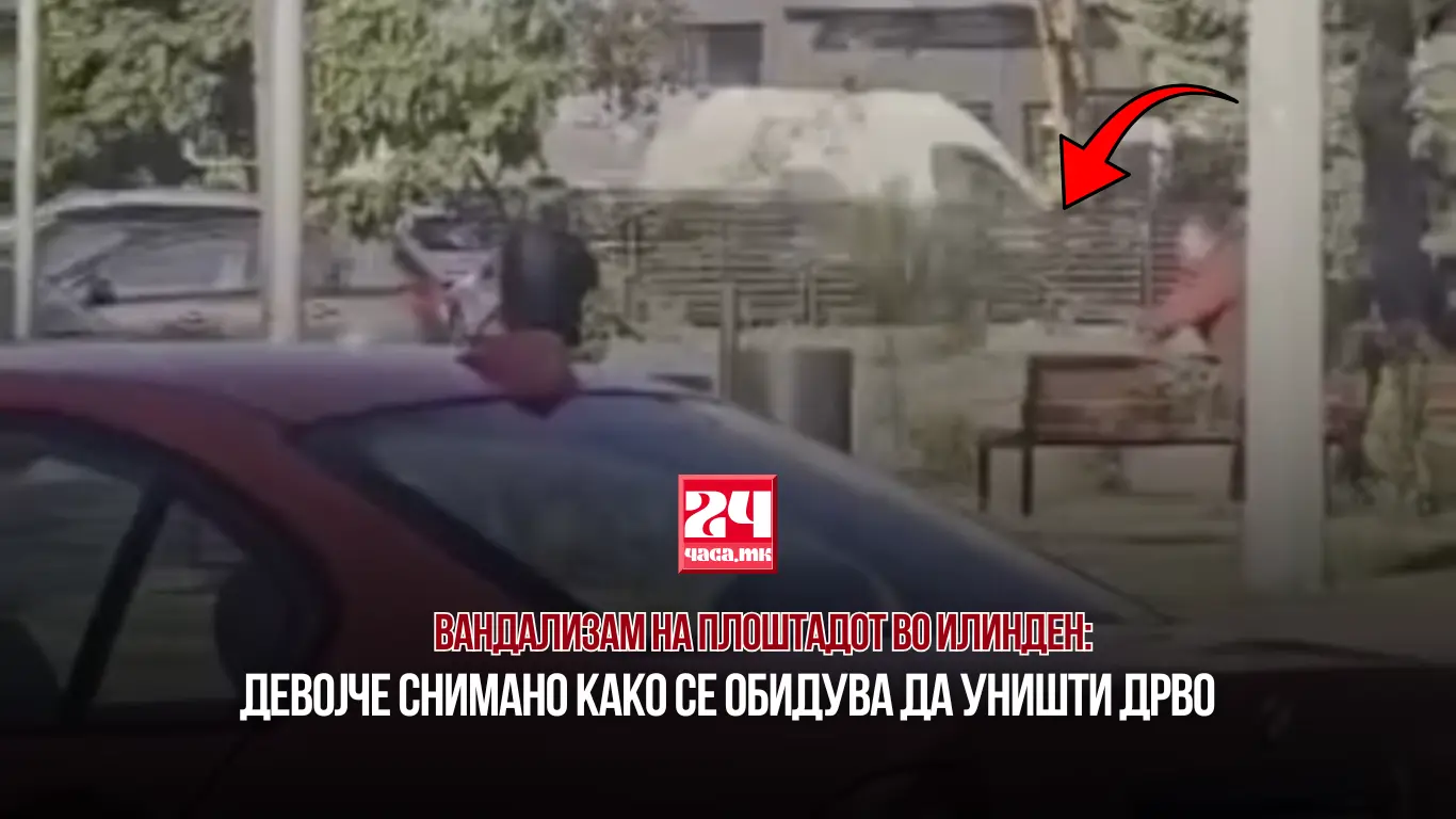 ВАНДАЛИЗАМ НА ПЛОШТАДОТ ВО ИЛИНДЕН: Девојче снимано како се обидува да уништи дрво