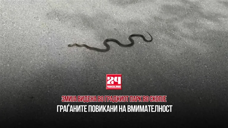 Змија во Градскиот парк