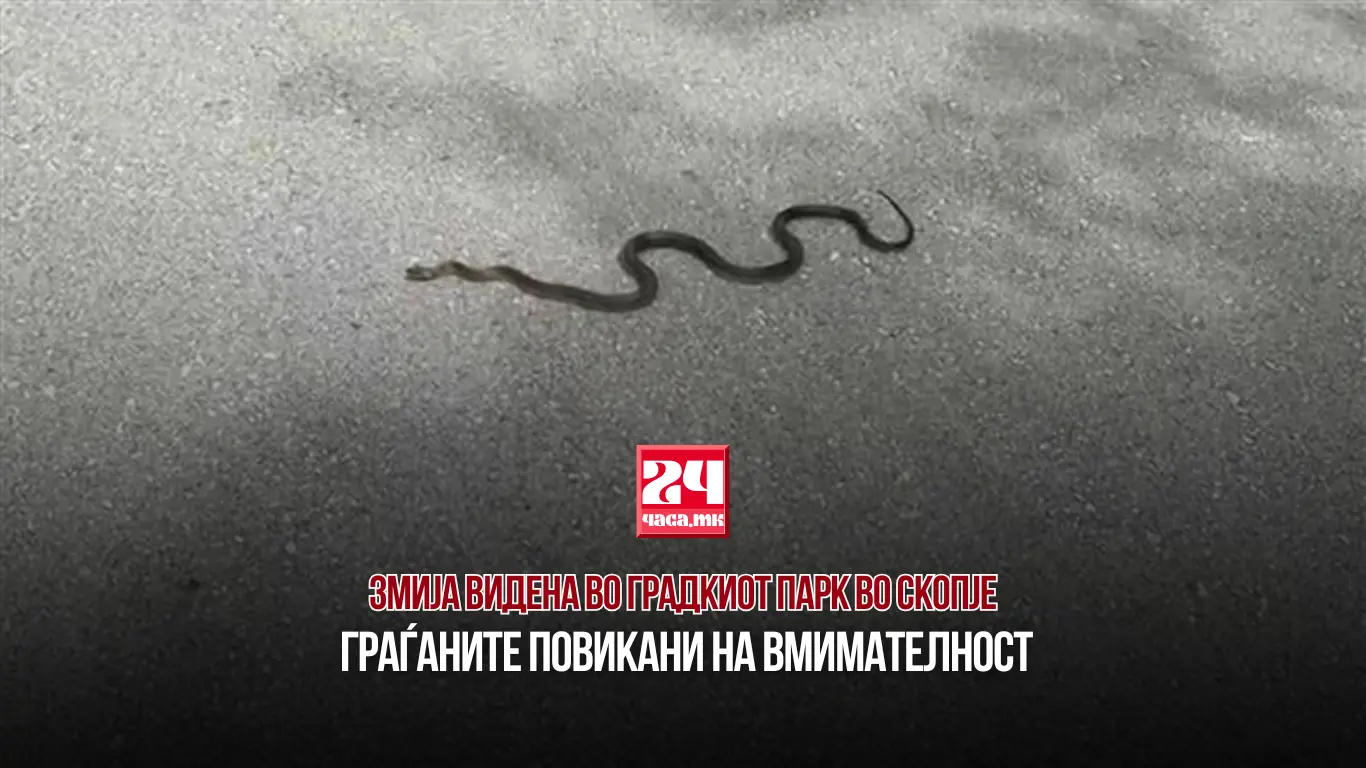ЗМИЈА ВИДЕНА ВО ГРАДКИОТ ПАРК ВО СКОПЈЕ: Граѓаните повикани на вмимателност