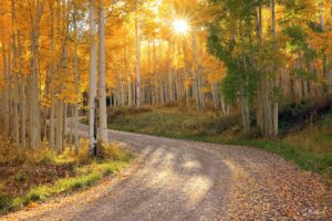 Lorem ipsum Lorem ipsum Lorem ipsum Lorem ipsum Lorem ipsum Lorem ipsum
