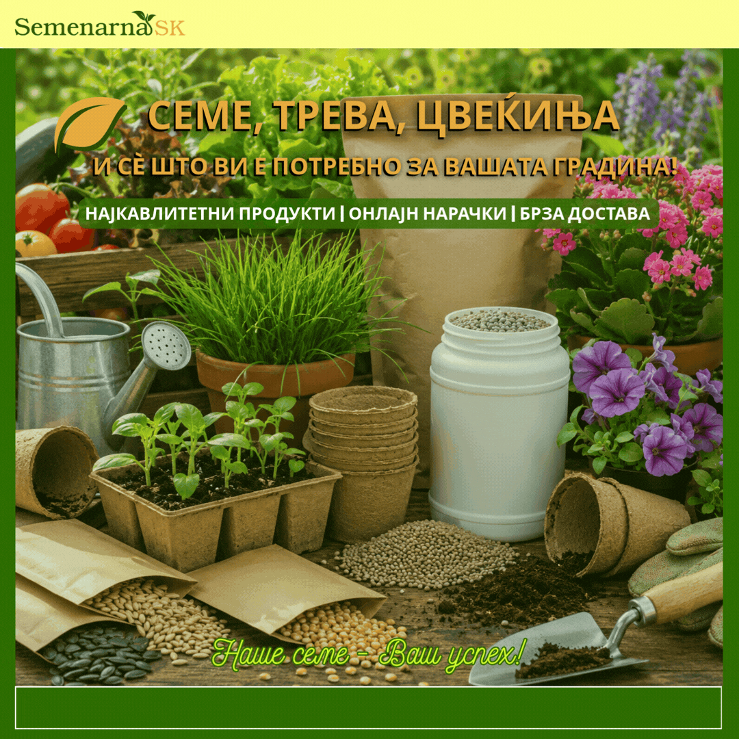 Реклама