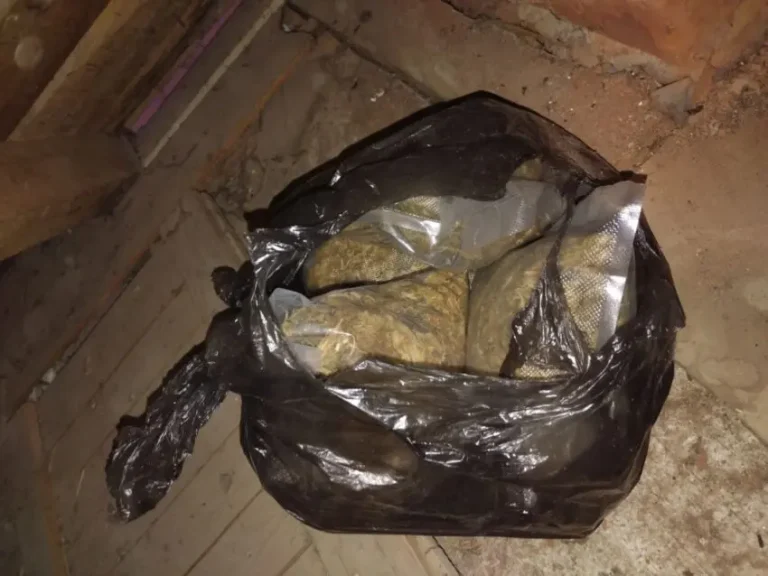 ШЕСТМИНА ПРИВЕДЕНИ ВО СКОПЈЕ, УШТЕ ДВАЈЦА ВО КАМЕЊАНЕ: МВР со детали за акцијата