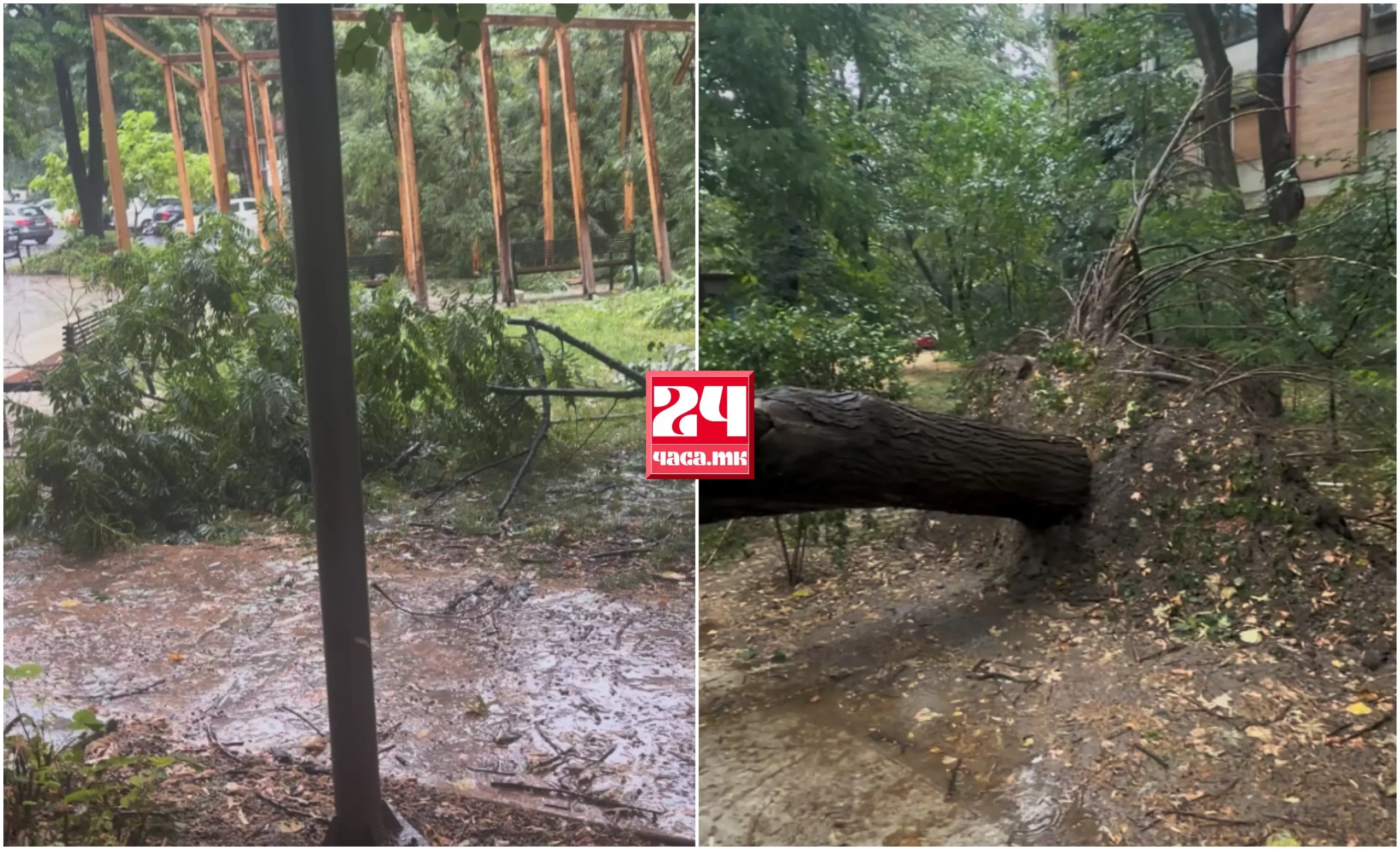 (ВИДЕО) ОТКОРНАТИ ДРВЈА ВО АЕРОДРОМ: Невремето остави траги низ главниот град