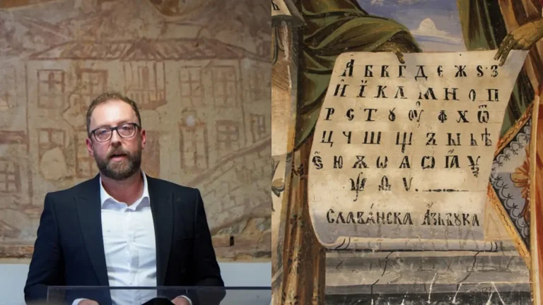 системска заштита на македонски јазик