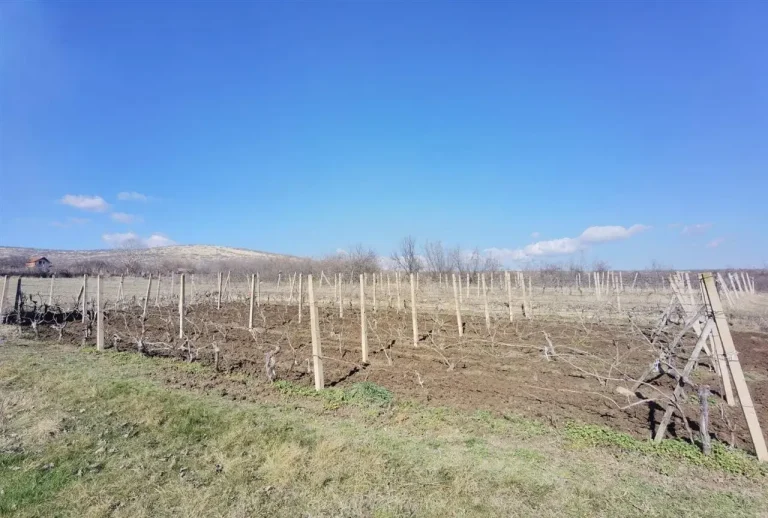 земјоделство