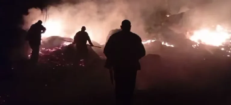 (ВИДЕО) УЖАС ВО МАРИОВО: над 20 куќи и плевни изгореа во големиот пожар во Чаниште
