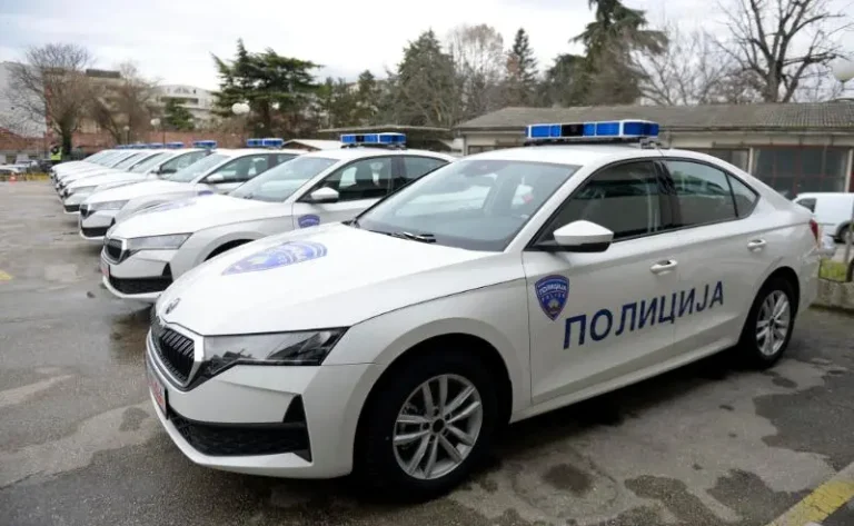 БАТИНЦИ ПОЛИЦИЈА