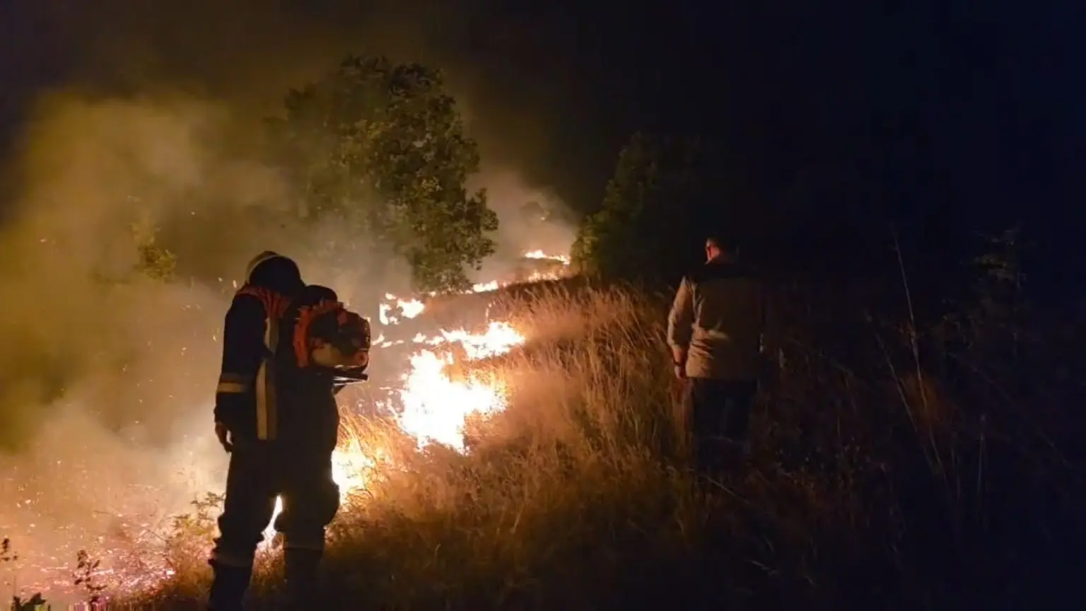 ПОЖАРОТ ВО ЧАНИШТА СЕ ШИРИ: огнот се движи во четири крака, активно и на четири други локации