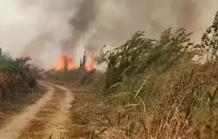 (ВИДЕО) Тежок пожар во Струмица: Евакуирани жители, две жени хоспитализирани