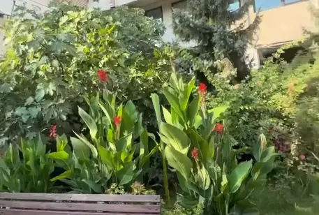 (ВИДЕО) Потег за пример – Четворица маалски пријатели направиле мини паркче во Аеродром