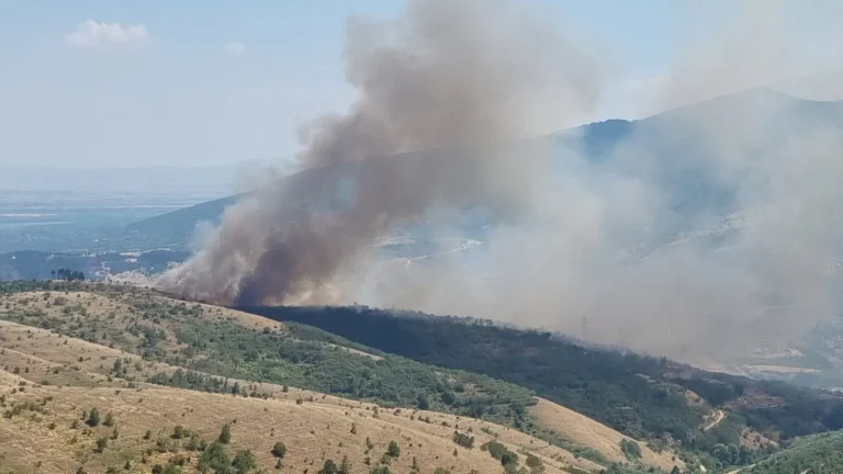 ТРИ АКТИВНИ ПОЖАРИ ВО МАКЕДОНИЈА: Најсериозно е кај Студеничани и Зелениково