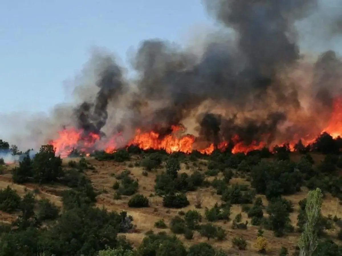 ПОЖАРОТ НАВЛЕЗЕ ВО ДЕЛОВИ ОД ЧАНИШТЕ: Зафатени куќи во прилепското село