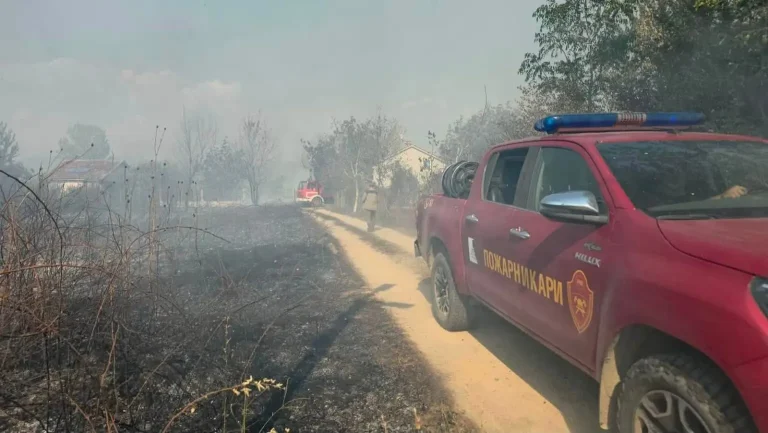 ОСУМ АКТИВНИ ПОЖАРИ НИЗ МАКЕДОНИЈА: Најкритично е кај Водоча, Бонче и Желино