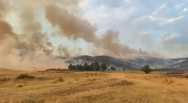 ПОЖАРНИКАРИТЕ НЕ СПИЕЈА 33 ЧАСА: Изгаснати пожарите во повеќе села во Битолско