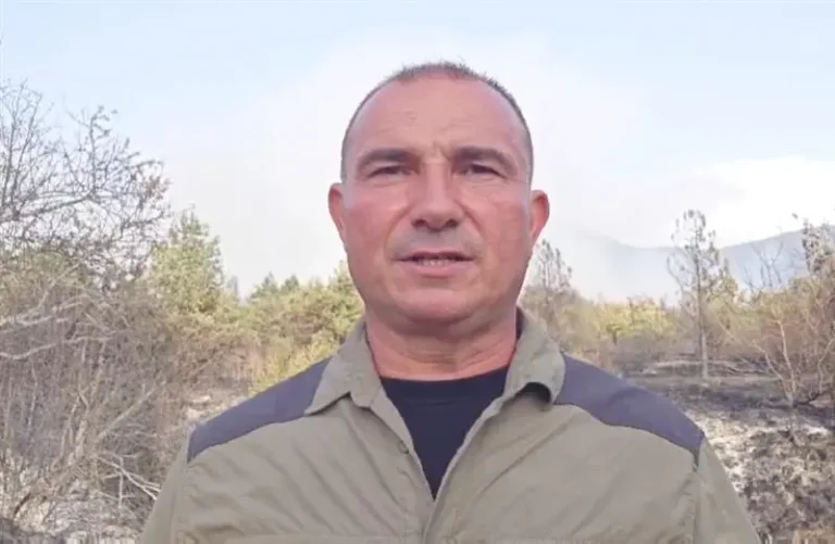 (ВИДЕО) ПОЖАРОТ СЕ ЗАКАНУВА НА ПЕЛИСТЕР: Ангелов тврди дека огнот во Ресенско е подметнат