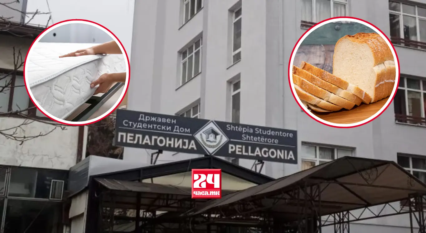 Леб 126 денари, купени душеци што не се користеле – ДЗР ОТКРИ СЕРИОЗНИ ПРОПУСТИ ВО СТРУДЕНТСКИОТ ДОМ „ПЕЛАГОНИЈА“