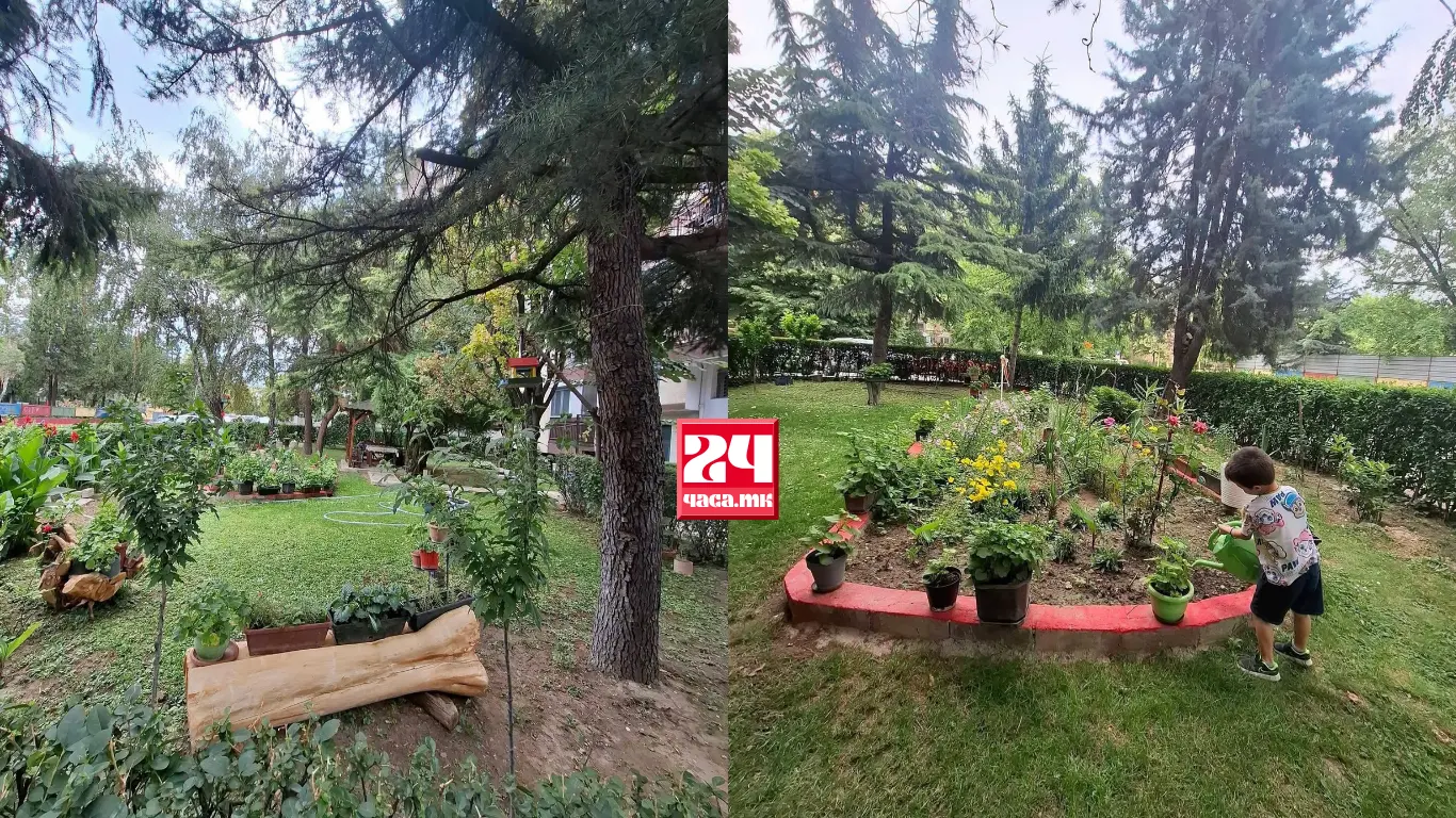 (ФОТОГАЛЕРИЈА) ВИСТИНСКА ЗЕЛЕНА ОАЗА ВО АЕРОДРОМ: Локални жители сами го уредиле просторот околу зградата