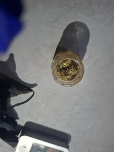 пронајдени