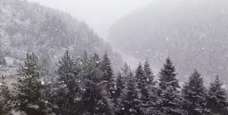 Кожуф