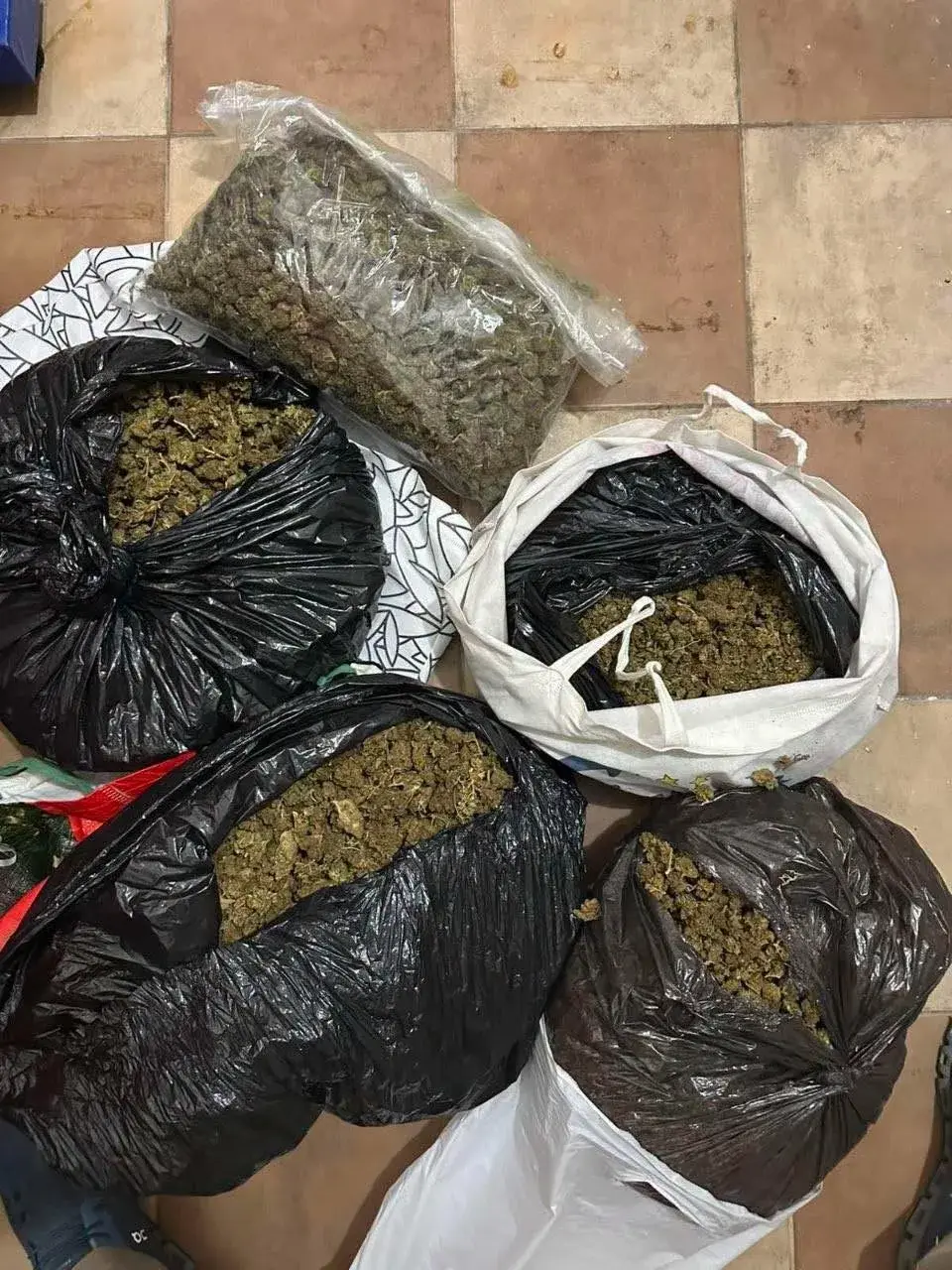 13 ЛИЦА ПРИВЕДЕНИ ВО ПОЛИЦИСКИ АКЦИИ НИЗ МАКЕДОНИЈА: Пронајдени марихуана, таблети и прашкасти материи
