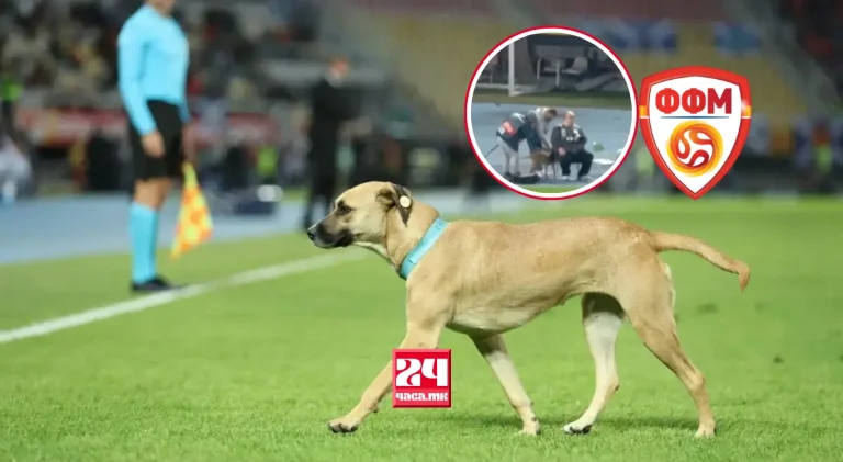 (ВИДЕО) КУЧЕ ВЛЕТА НА ТЕРЕНОТ ВО СКОПЈЕ: Шкотските навивачи пееја „Who Let the Dogs Out“