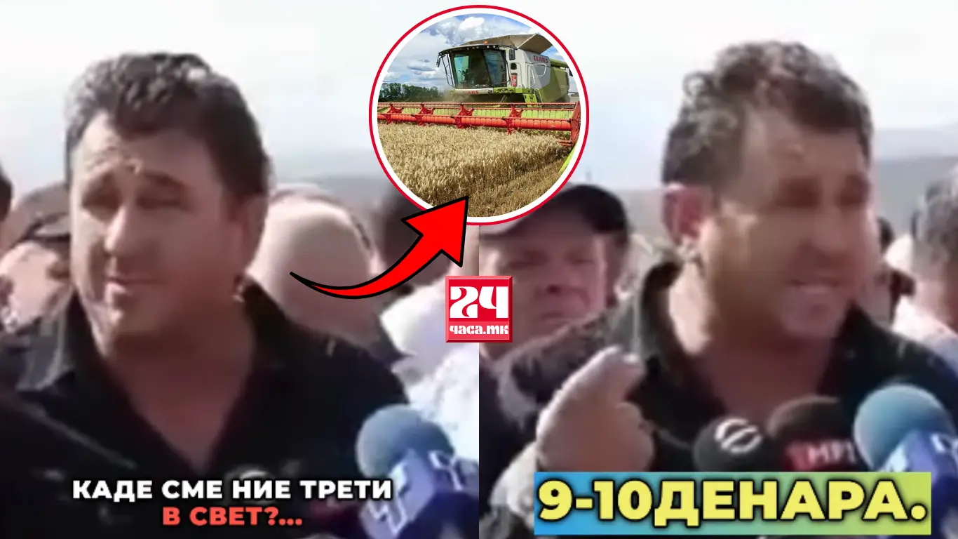 (ВИДЕО) ЗЕМЈОДЕЛЦИТЕ БЕСНИ: Цената на пченицата во 1993 година била 13 денари, а годинава само 9 денари