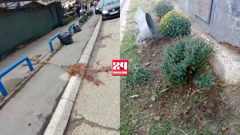 (ФОТО) ВАНДАЛИЗАМ ВО КУМАНОВО: Искршени садници и украдени цвеќиња од градскиот плоштад